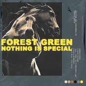 Forest Green: Old Youth