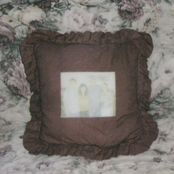 Holy Wild : a tale of american ruin