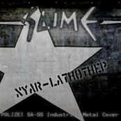 Polizei SA-SS Industrial Metal Cover