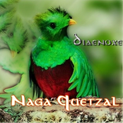 Naga Quetzal