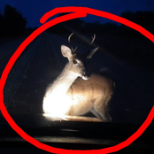 probably blinding (xoolice)