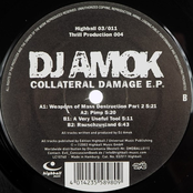 Collateral Damage