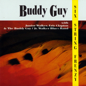 The Train I Ride by Buddy Guy