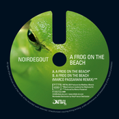 A frog on the beach EP