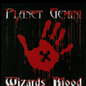 wizards blood