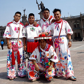 huichol musical