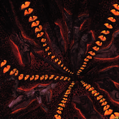 Initiation on the Ordeals of Lower Vibrations