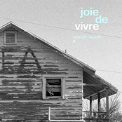 It's Fiction by Joie De Vivre