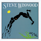 Dust by Steve Winwood