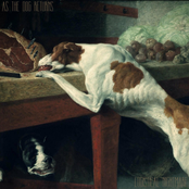As The Dog Returns