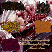 Celebrating Necrophilically The Birthday of the Young Shemale Lover