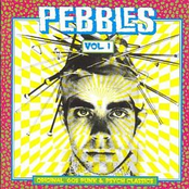 Pebbles Vol 1