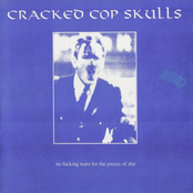 cracked cop skulls