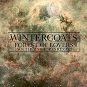 Forest Of Lovers (southern Shores Remix) by Wintercoats