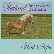 First Recording by Shetland Improvisers Orchestra
