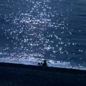 Flood by Boris ／／ DMT​​​​-​​​​490