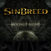 Moonlit Night