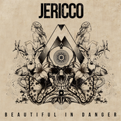 Your Favorite Song by Jericco
