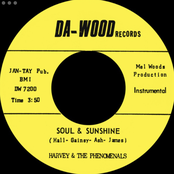 What Can I Do (To Prove My Love Is Real) b/w Soul & Sunshine - Single