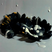 himawari/tsukuyo