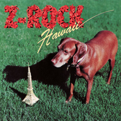 Bad To The Bone by Z-rock Hawaii