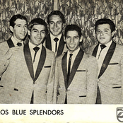 Los Blue Splendor