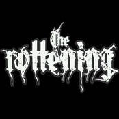 Ode To Rot