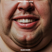 Fainas storas bičas