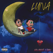 Gallagher: Luna