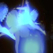 Reverie: i can see sparkles in your eyes