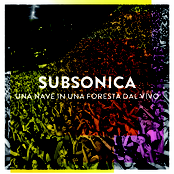 Una Nave In Una Foresta Dal Vivo