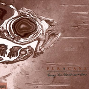 Puracane - 14 Nights