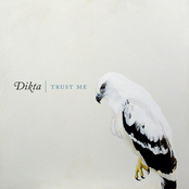 In Spite Of Me by Dikta