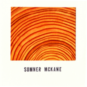 14 When He Went Into The Woods by Sumner Mckane