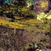 Stagnum Opus: Songs From the Bog