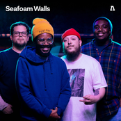 Seafoam Walls on Audiotree Live