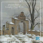 CPO-777384-2 - Brahms, Orgelwerke - Horsch