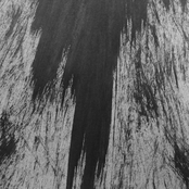 Confrontation and Rebirth