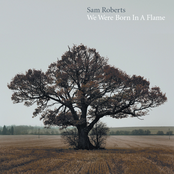 Where Have All The Good People Gone? by Sam Roberts