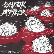 Shark Attack: Blood In The Water
