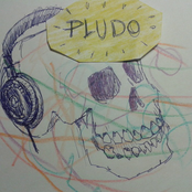 pludo