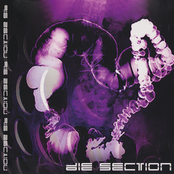 Die Section