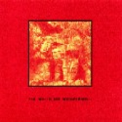 The walls are whispering...