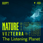 Electric Thunderstorms