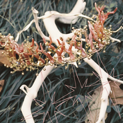 Eternity Without Promises