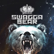 Swaggabear