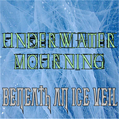 Beneath An Ice Veil