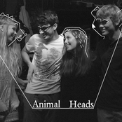 Animal Heads