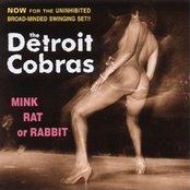 The Detroit Cobras: Mink Rat or Rabbit