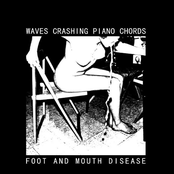 12" split w/ Foot and Mouth Disease